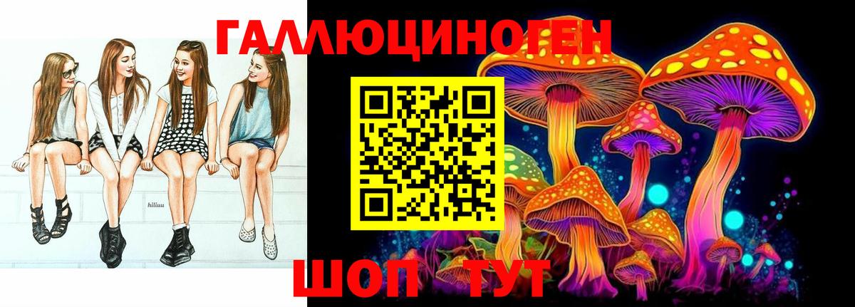 Галлюциногенные грибы Psilocybe Ярославль